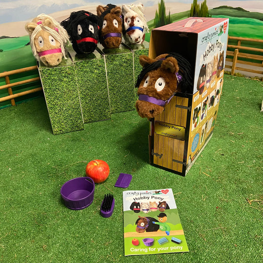 Crafty Pony Hobby Pony Box Set