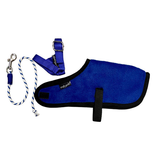 Crafty Pony Foal Rug Set