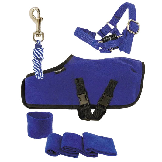 A set of blue horse care products including a rug, halter, lead rope, and leg wraps.