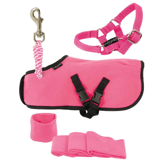 A set of pink pony rug and halter with a lead rope, leg wraps, and a rug with tether attached.