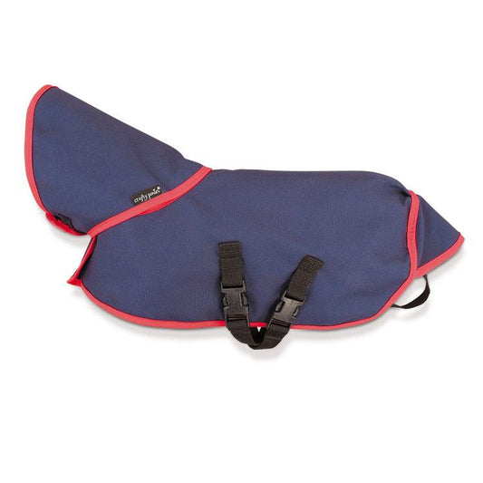 Crafty Pony Turnout Rug