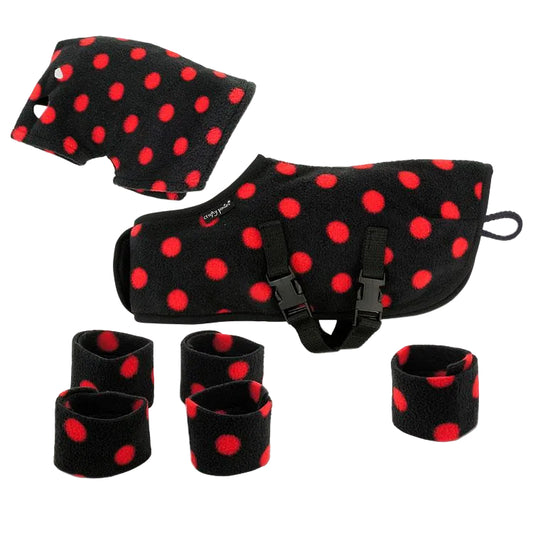 A set of black and red dotted horse care products including a rug with cross surcingles, front Velcro fastening, tail guard, head and neck cover, and four leg wraps with Velcro fastening.