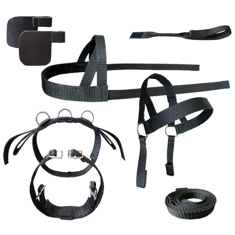 A set of black driving harnesses for ponies, including a headpiece, body harness, and detachable blinkers.