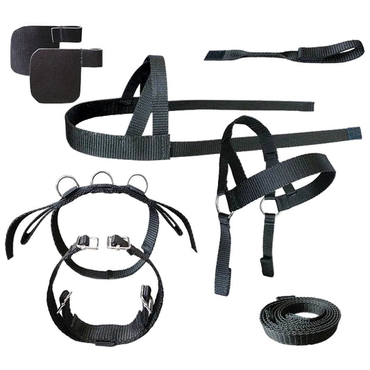 A set of black driving harnesses for ponies, including a headpiece, body harness, and detachable blinkers.