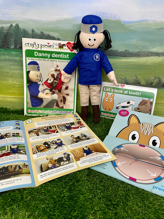 Crafty Pony Danny Dentist