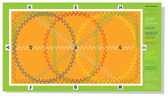 Crafty Pony Dressage Arena Mat