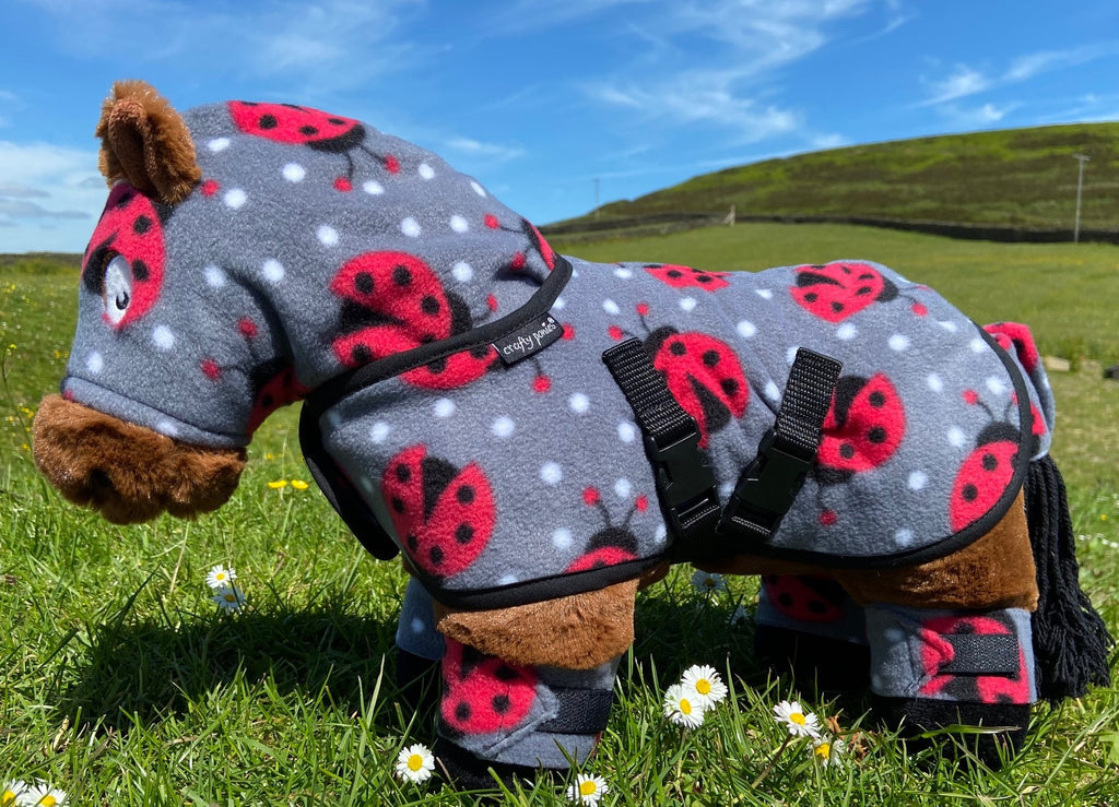 Crafty Pony Snuggle Rug Set