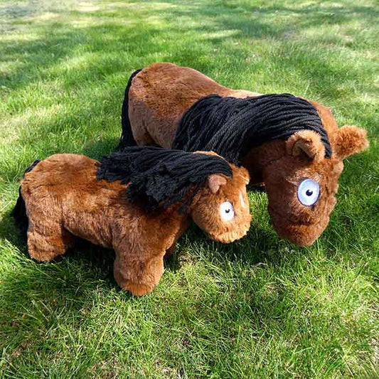 Crafty Pony Foal - Bay