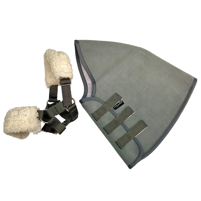 Crafty Pony Hobby Horse Rug Set