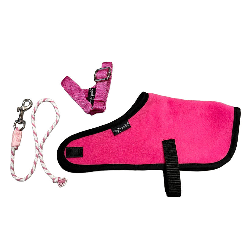 Crafty Pony Foal Rug Set
