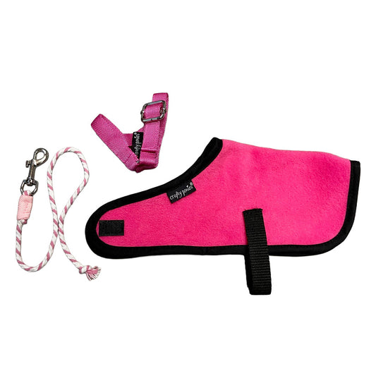 Crafty Pony Foal Rug Set