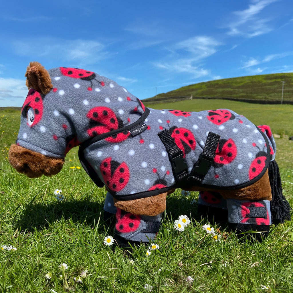 Crafty Pony Snuggle Rug Set