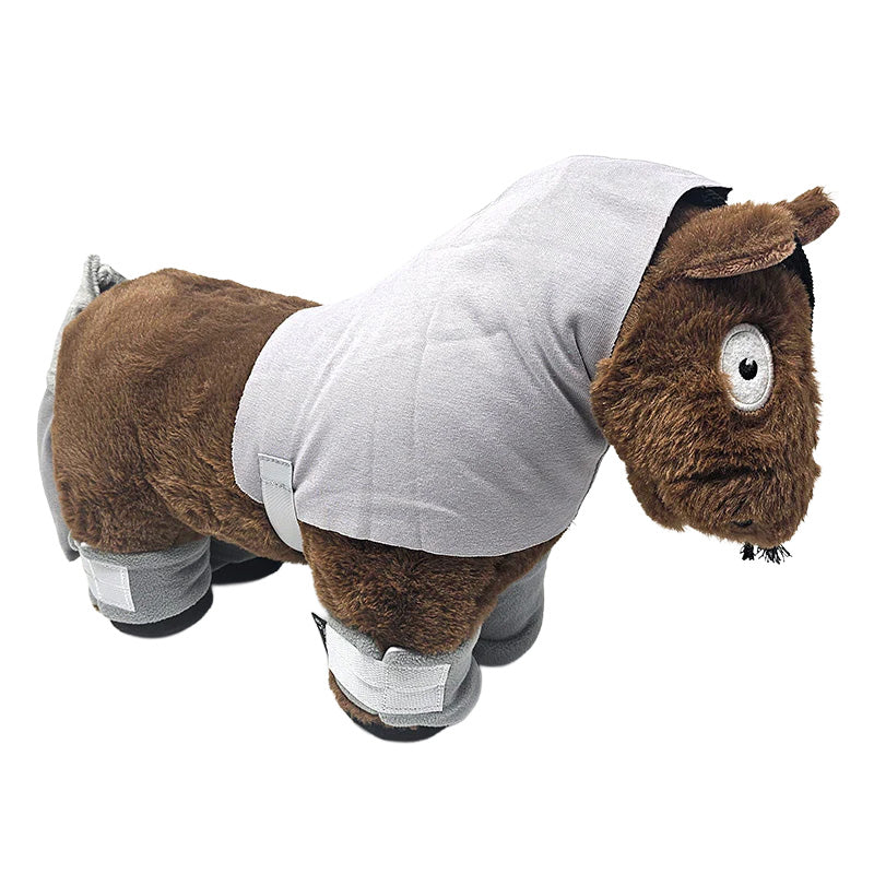 Crafty Pony Show Travel Set